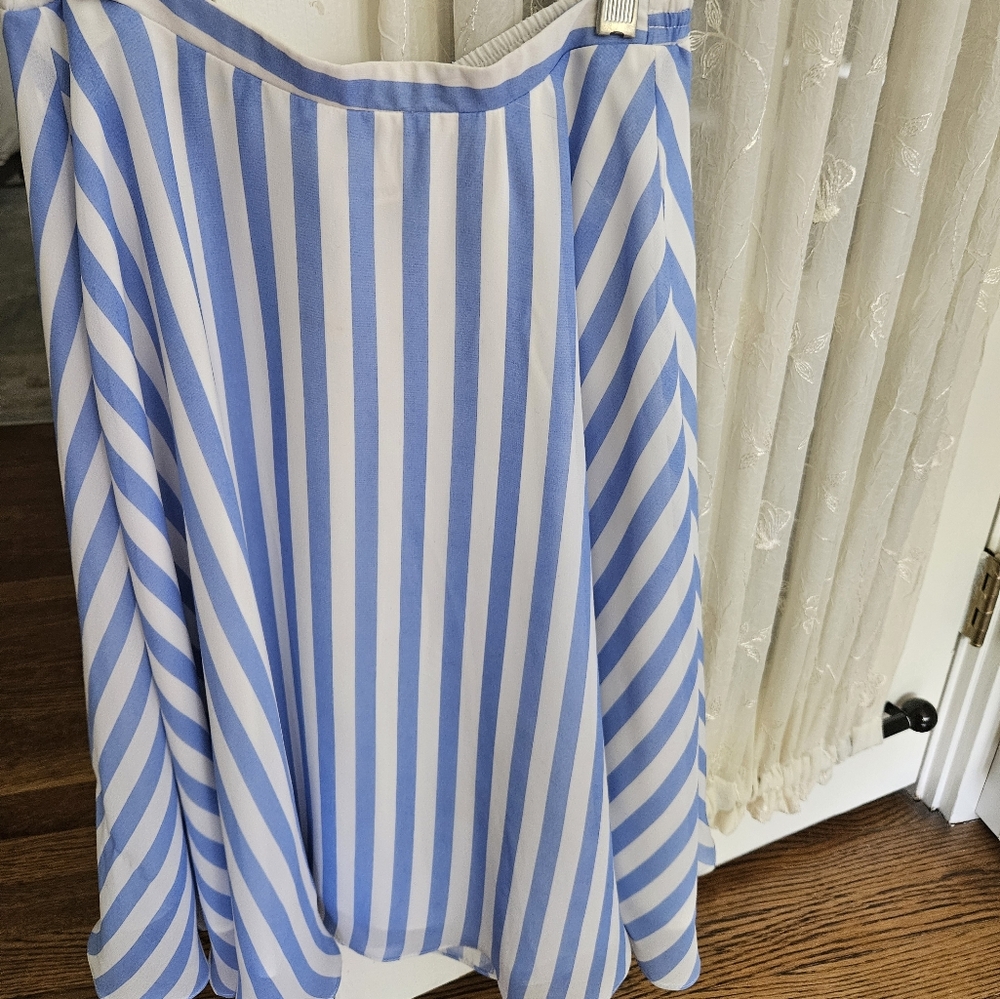 Anthropologie Blue and White Striped Women's Skirt